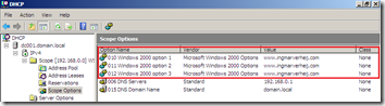 Microsoft DHCP Server - Scope Options