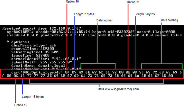 dhcptest - DHCP Offer - 43 - detailed